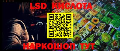 шишки Краснознаменск