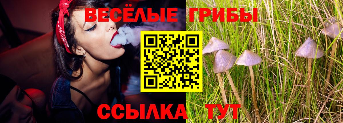 Губкин  Псилоцибиновые грибы прущие грибы  Вход с VPN  закладка  Галлюциногенные грибы MAGIC MUSHROOMS 